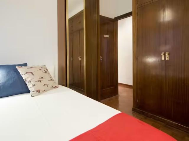 Alquiler 1 Dormitorio Shared Living/Roommate Madrid Madrid DS98497497