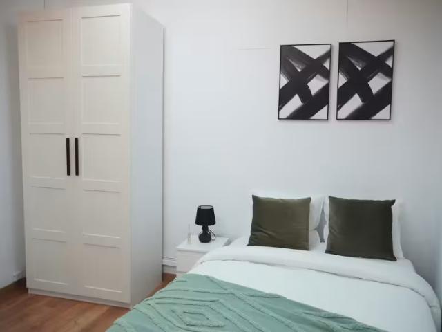 Alquiler 1 Dormitorio Shared Living/Roommate Madrid Madrid DS98634990