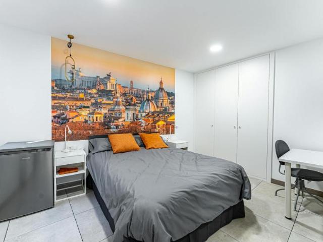 Alquiler 1 Dormitorio Shared Living/Roommate Madrid Madrid DS99374926