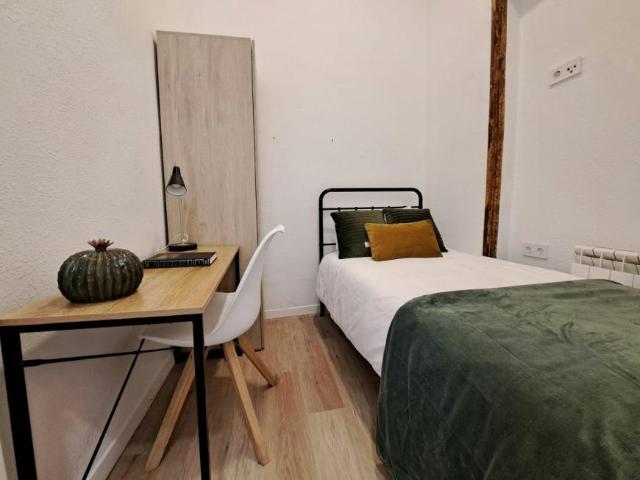 Alquiler 1 Dormitorio Shared Living/Roommate Madrid Madrid DS99685090