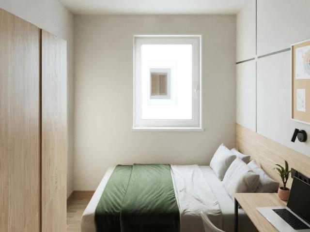 Alquiler 1 Dormitorio Shared Living/Roommate Madrid Madrid DS99685576