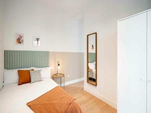 Alquiler 1 Dormitorio Shared Living/Roommate Madrid Madrid DS99689850