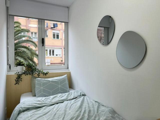 Alquiler 1 Dormitorio Shared Living/Roommate Madrid Madrid DS99689810