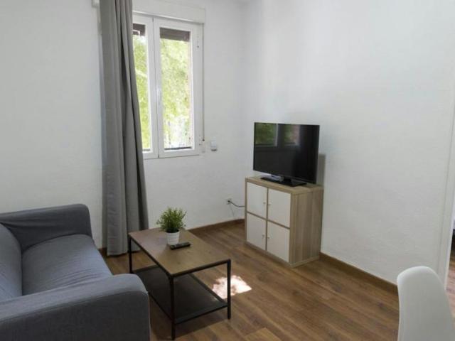 Alquiler 1 Dormitorio Shared Living/Roommate Madrid Madrid DS99692688