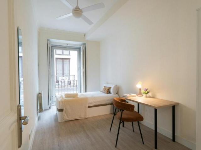 Alquiler 1 Dormitorio Shared Living/Roommate Madrid Madrid DS99634095