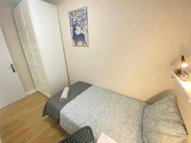 Alquiler 1 Dormitorio Shared Living/Roommate Madrid Madrid DS99636344