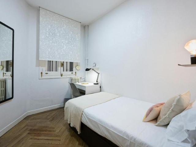 Alquiler 1 Dormitorio Shared Living/Roommate Madrid Madrid DS99636889