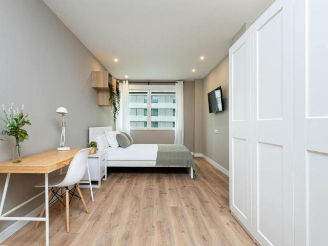 Alquiler 1 Dormitorio Shared Living/Roommate Madrid Madrid DS100416099