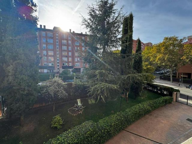 Alquiler 1 Dormitorio Shared Living/Roommate Madrid Madrid DS100672506