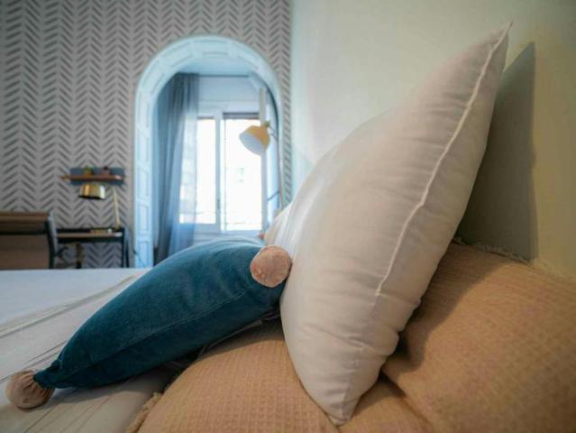 Alquiler 1 Dormitorio Shared Living/Roommate Madrid Madrid DS100675237