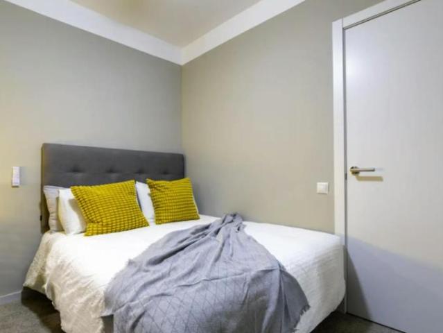 Alquiler 1 Dormitorio Shared Living/Roommate Madrid Madrid DS100713878