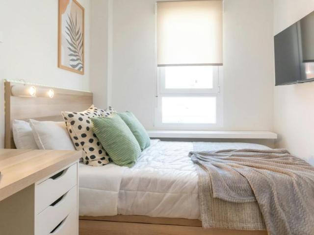Alquiler 1 Dormitorio Shared Living/Roommate Madrid Madrid DS100715776
