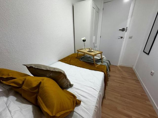Alquiler 1 Dormitorio Shared Living/Roommate Madrid Madrid DS100718425