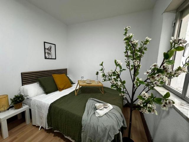 Alquiler 1 Dormitorio Shared Living/Roommate Madrid Madrid DS100718428