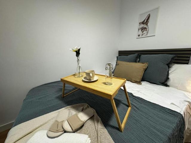 Alquiler 1 Dormitorio Shared Living/Roommate Madrid Madrid DS100718505