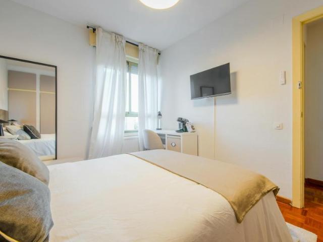 Alquiler 1 Dormitorio Shared Living/Roommate Madrid Madrid DS100718791