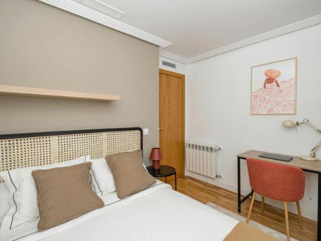 Alquiler 1 Dormitorio Shared Living/Roommate Madrid Madrid DS100718126