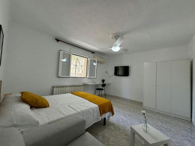 Alquiler 1 Dormitorio Shared Living/Roommate Madrid Madrid DS100720491