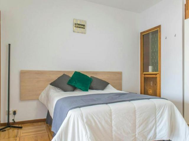 Alquiler 1 Dormitorio Shared Living/Roommate Madrid Madrid DS100720987