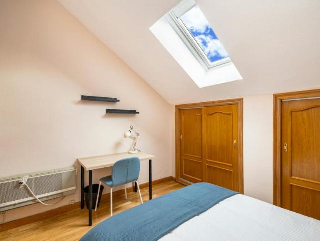 Alquiler 1 Dormitorio Shared Living/Roommate Madrid Madrid DS100720051