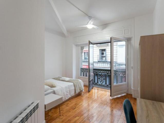 Alquiler 1 Dormitorio Shared Living/Roommate Madrid Madrid DS100721905