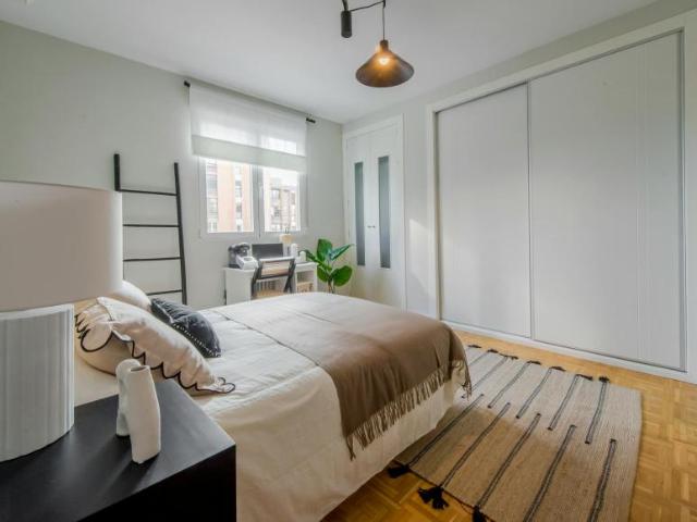 Alquiler 1 Dormitorio Shared Living/Roommate Madrid Madrid DS100721398