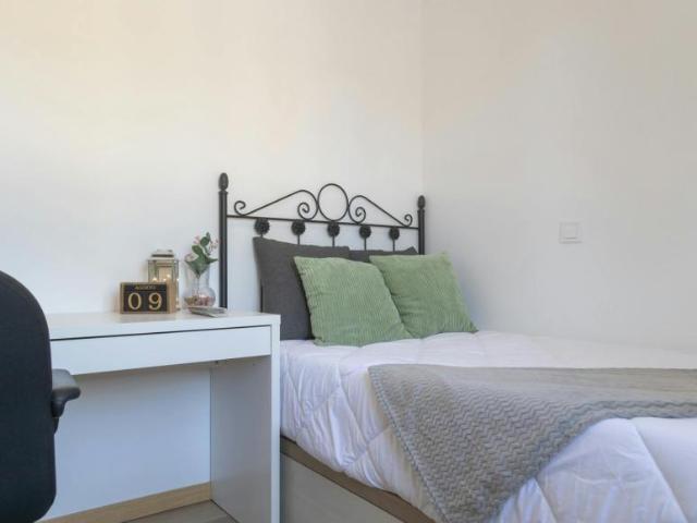 Alquiler 1 Dormitorio Shared Living/Roommate Madrid Madrid DS100725063