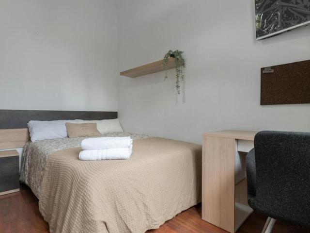 Alquiler 1 Dormitorio Shared Living/Roommate Madrid Madrid DS100730019