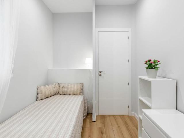 Alquiler 1 Dormitorio Shared Living/Roommate Madrid Madrid DS100731932