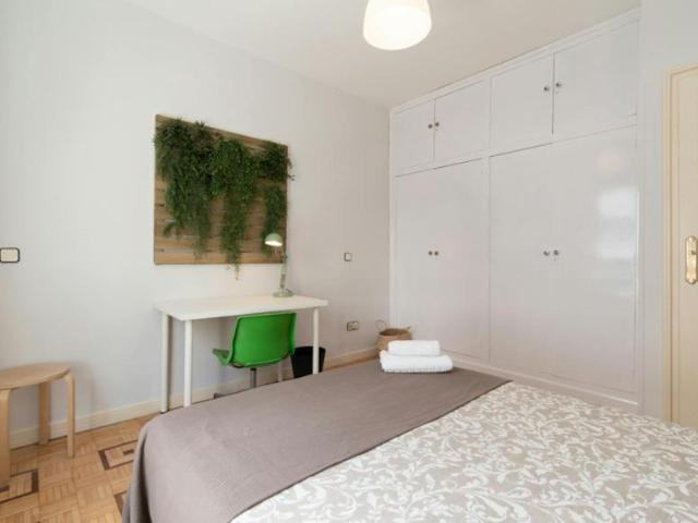 Alquiler 1 Dormitorio Shared Living/Roommate Madrid Madrid DS100766912