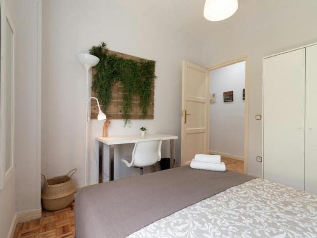 Alquiler 1 Dormitorio Shared Living/Roommate Madrid Madrid DS100766913
