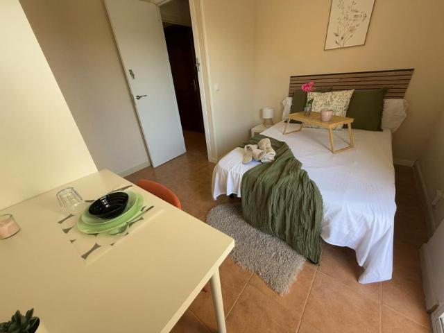 Alquiler 1 Dormitorio Shared Living/Roommate Madrid Madrid DS100215363