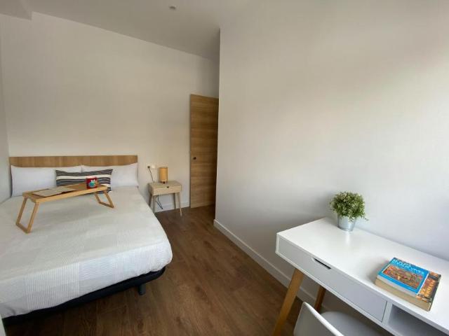 Alquiler 1 Dormitorio Shared Living/Roommate Madrid Madrid DS100216257