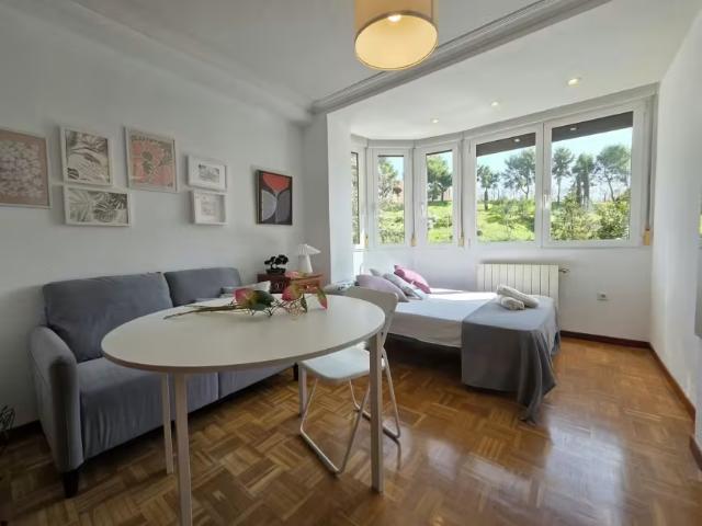 Alquiler 1 Dormitorio Shared Living/Roommate Madrid Madrid DS100253788