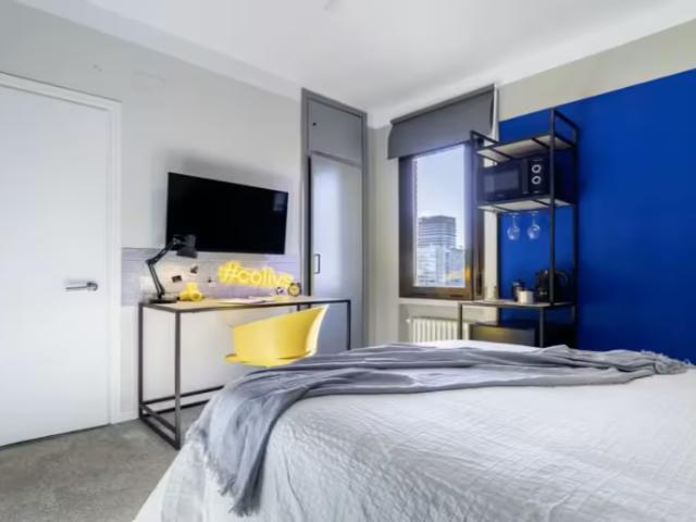 Alquiler 1 Dormitorio Shared Living/Roommate Madrid Madrid DS100309121