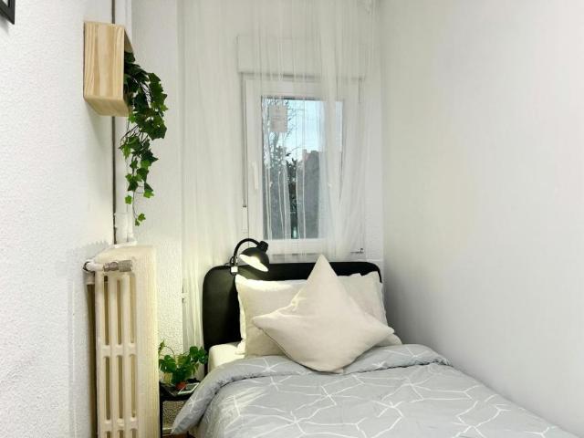 Alquiler 1 Dormitorio Shared Living/Roommate Madrid Madrid DS101792469