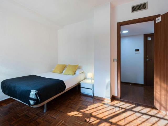 Alquiler 1 Dormitorio Shared Living/Roommate Madrid Madrid DS101793611
