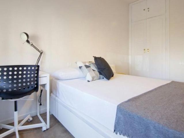 Alquiler 1 Dormitorio Shared Living/Roommate Madrid Madrid DS101793298