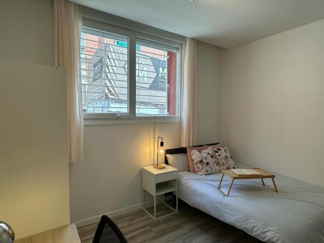 Alquiler 1 Dormitorio Shared Living/Roommate Madrid Madrid DS101840312