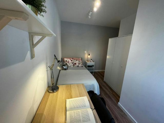 Alquiler 1 Dormitorio Shared Living/Roommate Madrid Madrid DS101843470