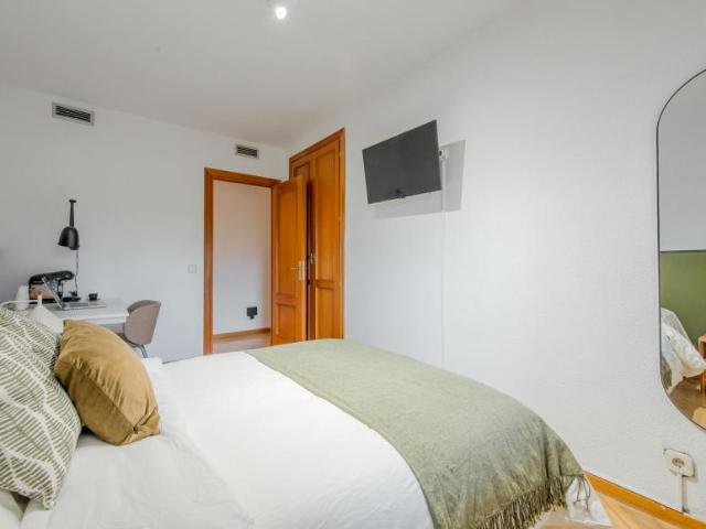 Alquiler 1 Dormitorio Shared Living/Roommate Madrid Madrid DS101844690