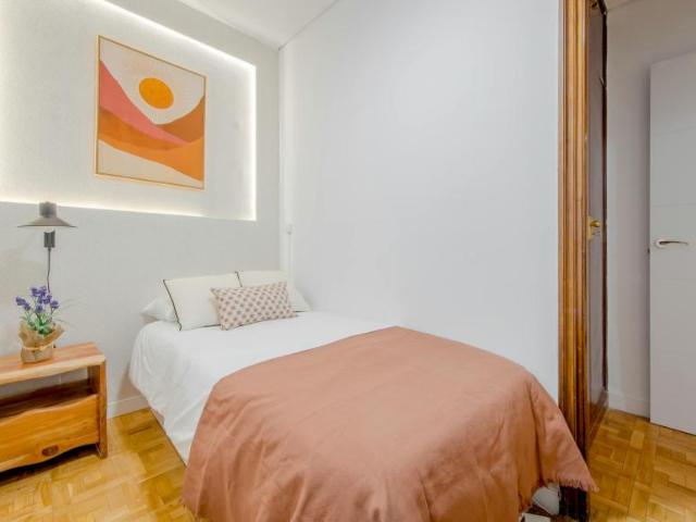 Alquiler 1 Dormitorio Shared Living/Roommate Madrid Madrid DS101844289