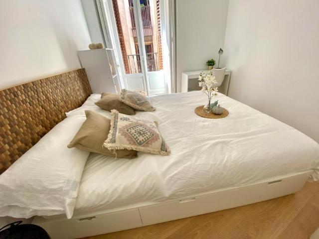 Alquiler 1 Dormitorio Shared Living/Roommate Madrid Madrid DS101850474