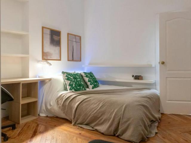 Alquiler 1 Dormitorio Shared Living/Roommate Madrid Madrid DS101851205