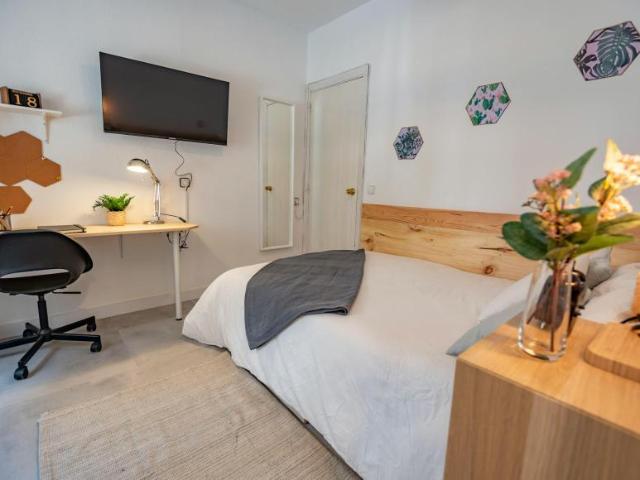 Alquiler 1 Dormitorio Shared Living/Roommate Madrid Madrid DS101885477