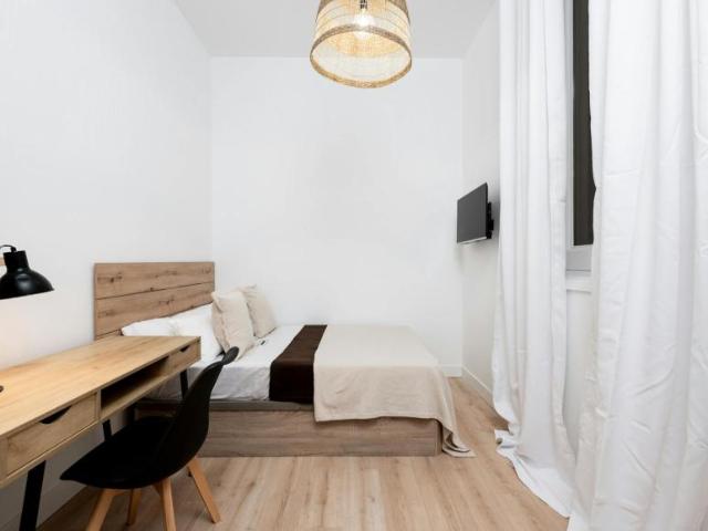 Alquiler 1 Dormitorio Shared Living/Roommate Madrid Madrid DS101885048