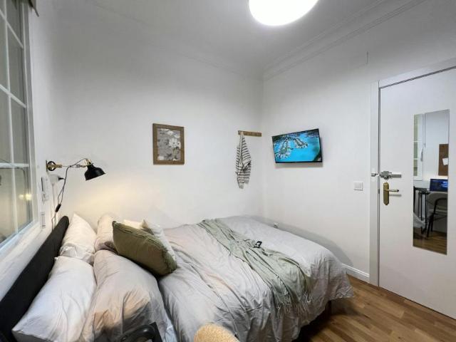 Alquiler 1 Dormitorio Shared Living/Roommate Madrid Madrid DS101269585