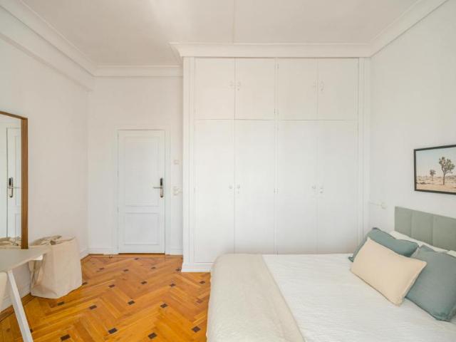 Alquiler 1 Dormitorio Shared Living/Roommate Madrid Madrid DS102470261