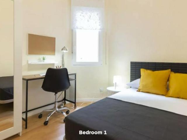 Alquiler 1 Dormitorio Shared Living/Roommate Madrid Madrid DS102589514