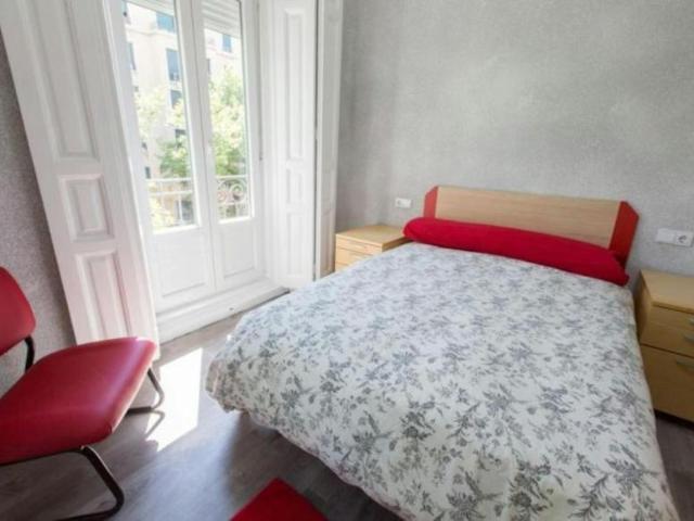 Alquiler 1 Dormitorio Shared Living/Roommate Madrid Madrid DS102813994